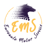 Euroauto Motor Service