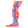 Europe Vein Center Dr.Augusto Sampaio