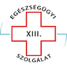 XIII. District Health Service
