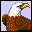 Eden Veterinary Clinic, PLLC