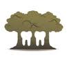 Evergreen Dental