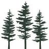 Evergreen Estates