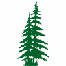 Evergreen Fence