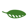 Evergreen Florist of Appleton, LLC