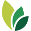 Ever Green Law Office