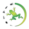 Evergreen Pest Management