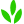 Everwilling Tree Specialists