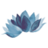 eviyoga