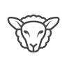 Ewe Clean Carpet and Upholstery Cleaning