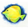 Exotic Aquatics