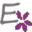 Exotic Fusion Beauty Salon