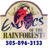Exotics of the Rainforest
