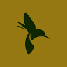 Exotic Property