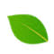 EXPLANTE Biotecnologia