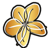 EYELADA ORIGINALE THAIMASSAGE