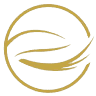 Eye See Brow Beauty Spa