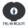Eyes on Wildlife Birding & Wildlife Tours - Atherton - Australia