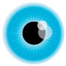 Hobart Eye Surgeons
