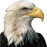 Federated Appraisal & Closing Services, LP