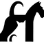 Fairfield Animal Hospital