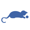 Fairmile Cat Hotel