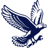 Falcon Building Group