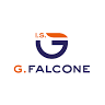 Istituto d'Istruzione Superiore G. Falcone