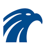 Falcon National Bank