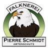 Falknerei Pierre Schmidt