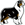 FALLCAT chovatelska stanice australskych ovcaku