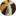 Fam Skin & Concept