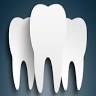 Dr. Julie K. Goldstein, DDS