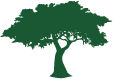 Family Legacy Planning Wealth Management