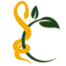 Farmacia okondo