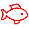 Far Out Fishing Charters