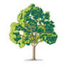 Yew Tree Group