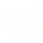 FastBeetle