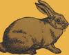 Fat Rabbit Thrift & Vintage