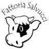 Fattoria Salvucci