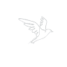 Freebird Yoga Studio