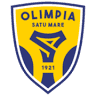 Stadion Olimpia Satu Mare
