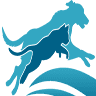 First Coast Veterinary Specialists