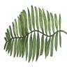 Feast & Foliage