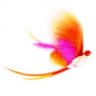 Feeel You - Zumba, Pilates, yoga, dance
