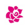 Feel florist Flowers