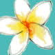 Feelgoodstudio Hot Yoga & Pilates