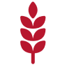 Feiten Produtos