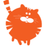Felinity