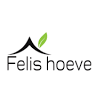Minicamping Felis Hoeve