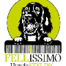 Fellissimo-Hundestyling